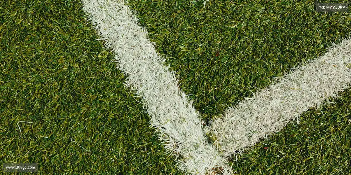 OD体育🌟踏上跑道，你就是自己的冠军，体育让热爱永不褪色！