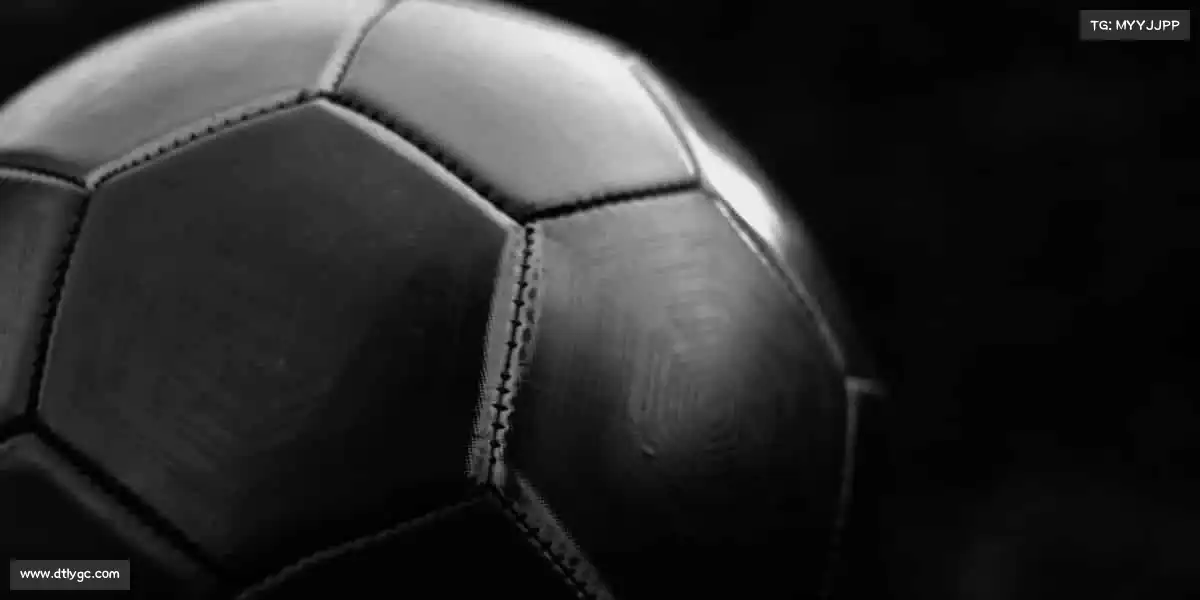 米兰体育🏆汗水铸就梦想，体育成就辉煌！