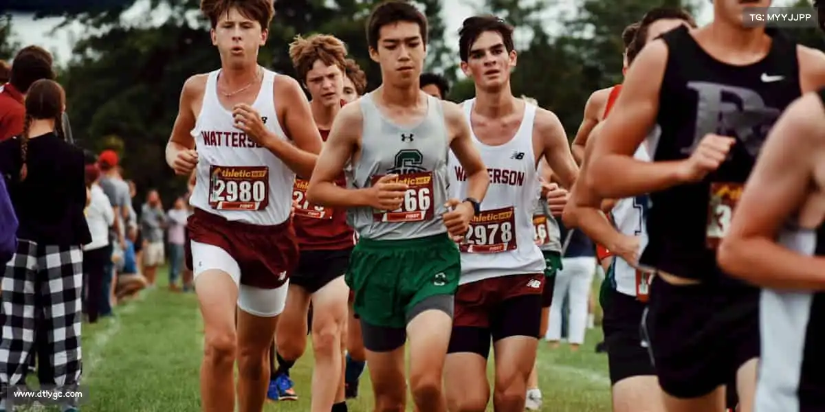 为什么选择我们